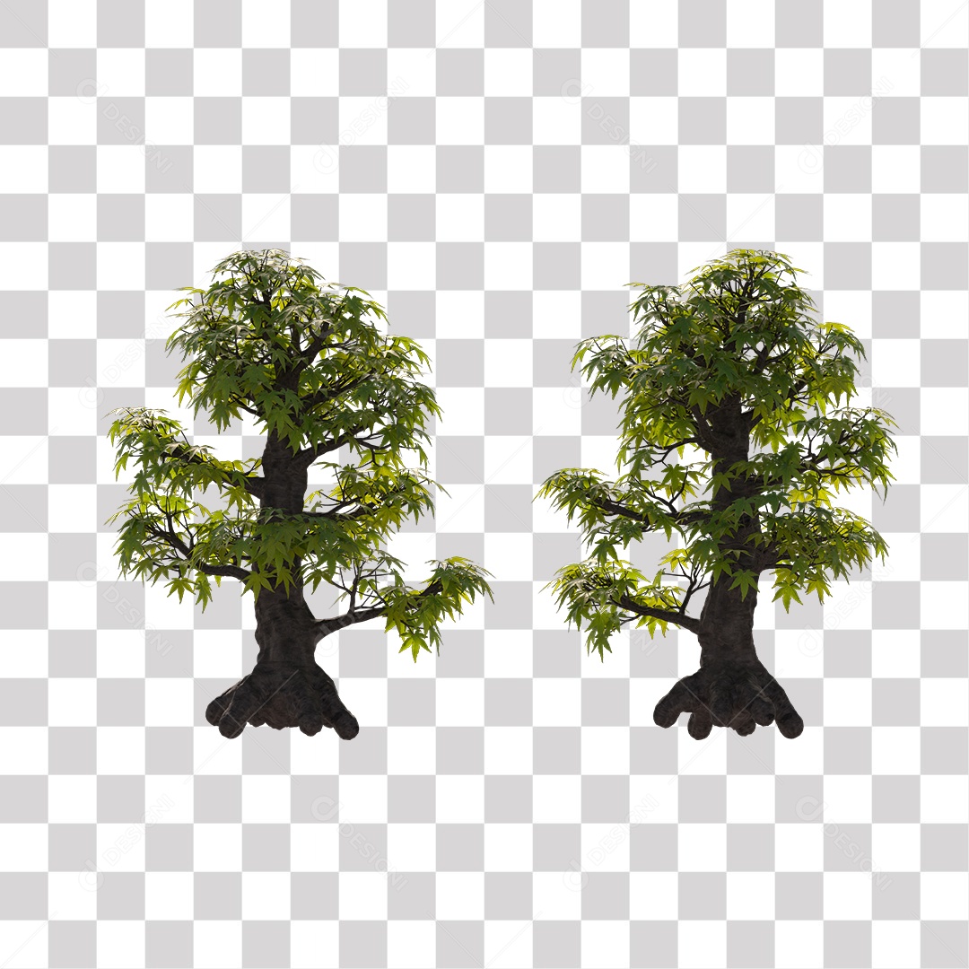 Árvore de Folha Verde Coqueiro Planta PNG Transparente