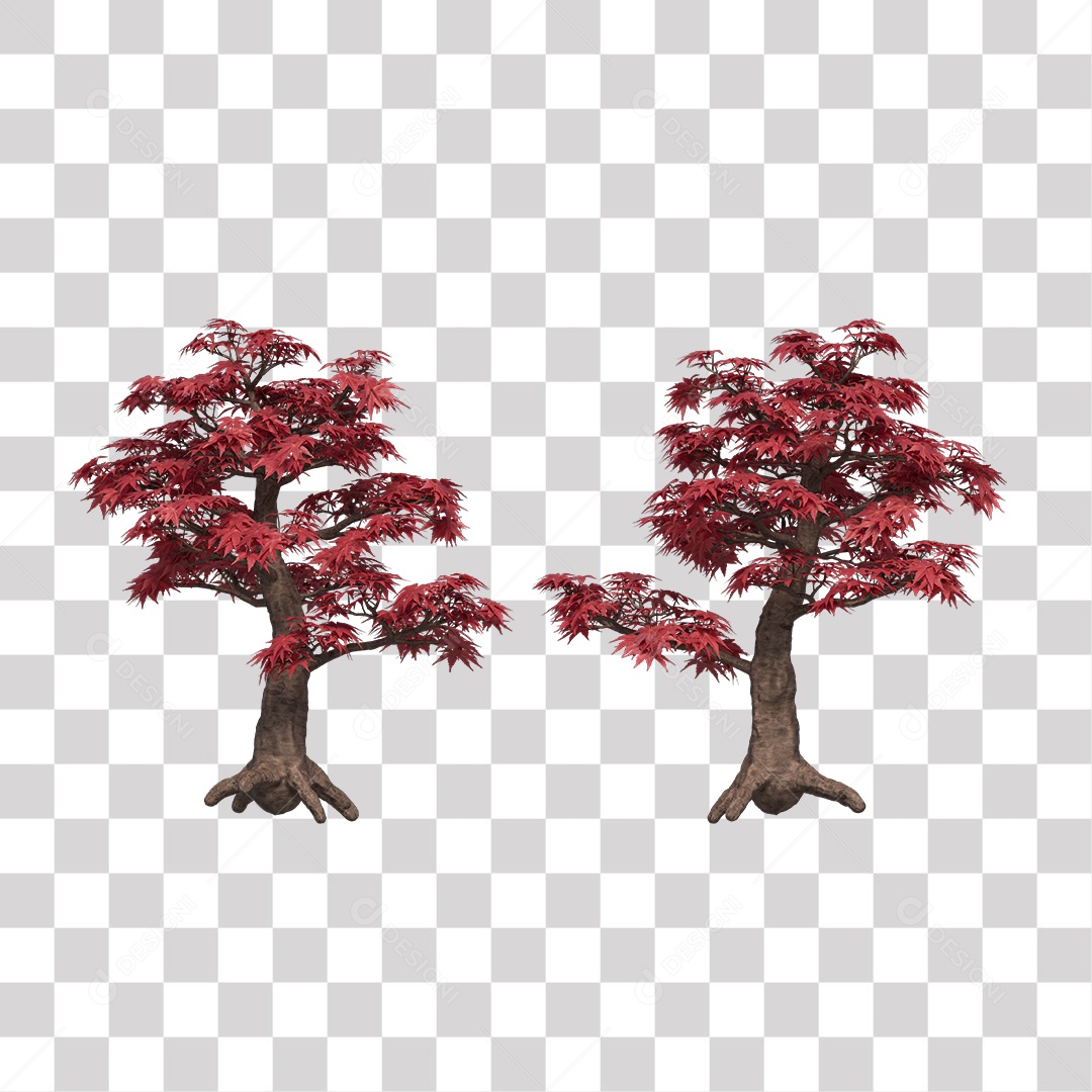 Árvore de Folha Rosa Coqueiro Planta PNG Transparente