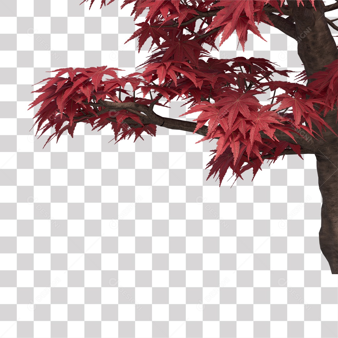 Árvore de Folha Rosa Coqueiro Planta PNG Transparente