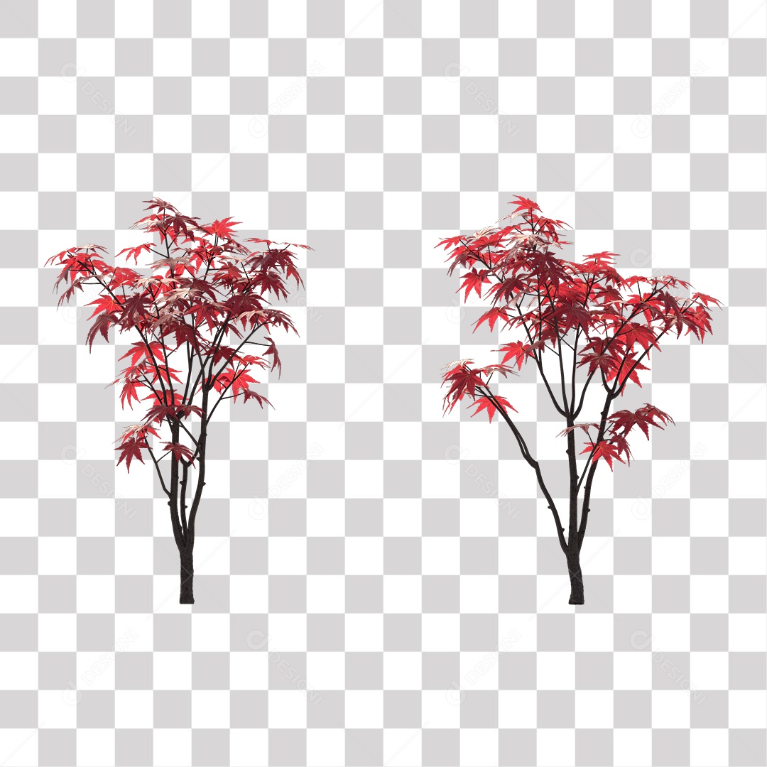 Árvore de Folha Rosa Coqueiro Planta PNG Transparente