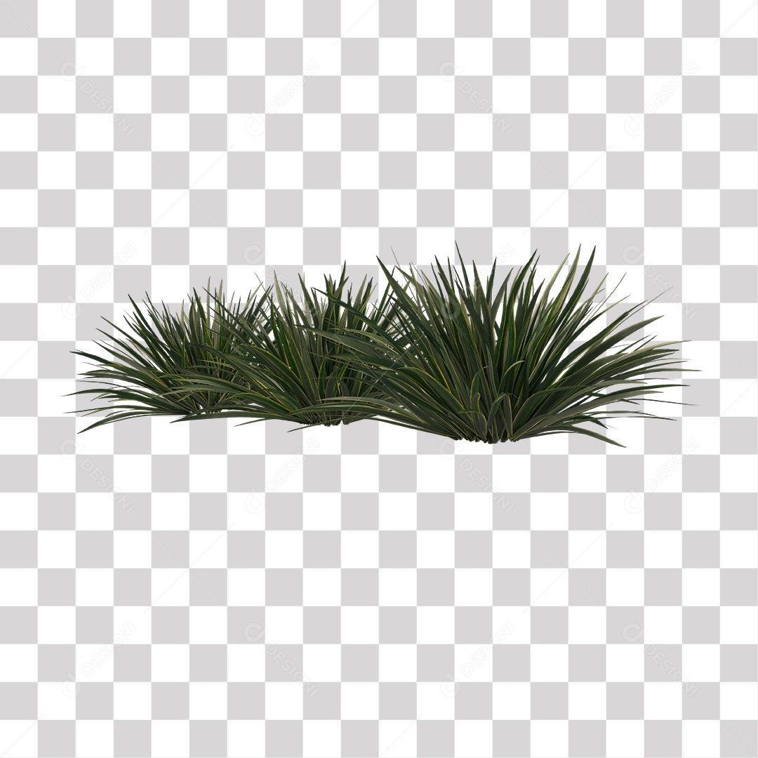 Árvore de Folha Verde Coqueiro Planta PNG Transparente