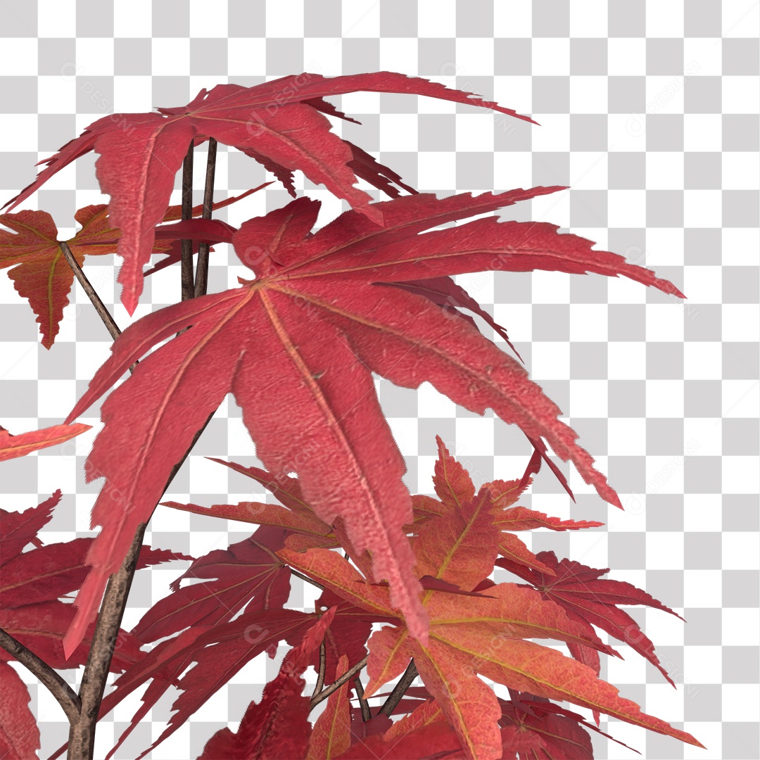 Pink Leaf Tree Coconut Palm Plant Transparent PNG