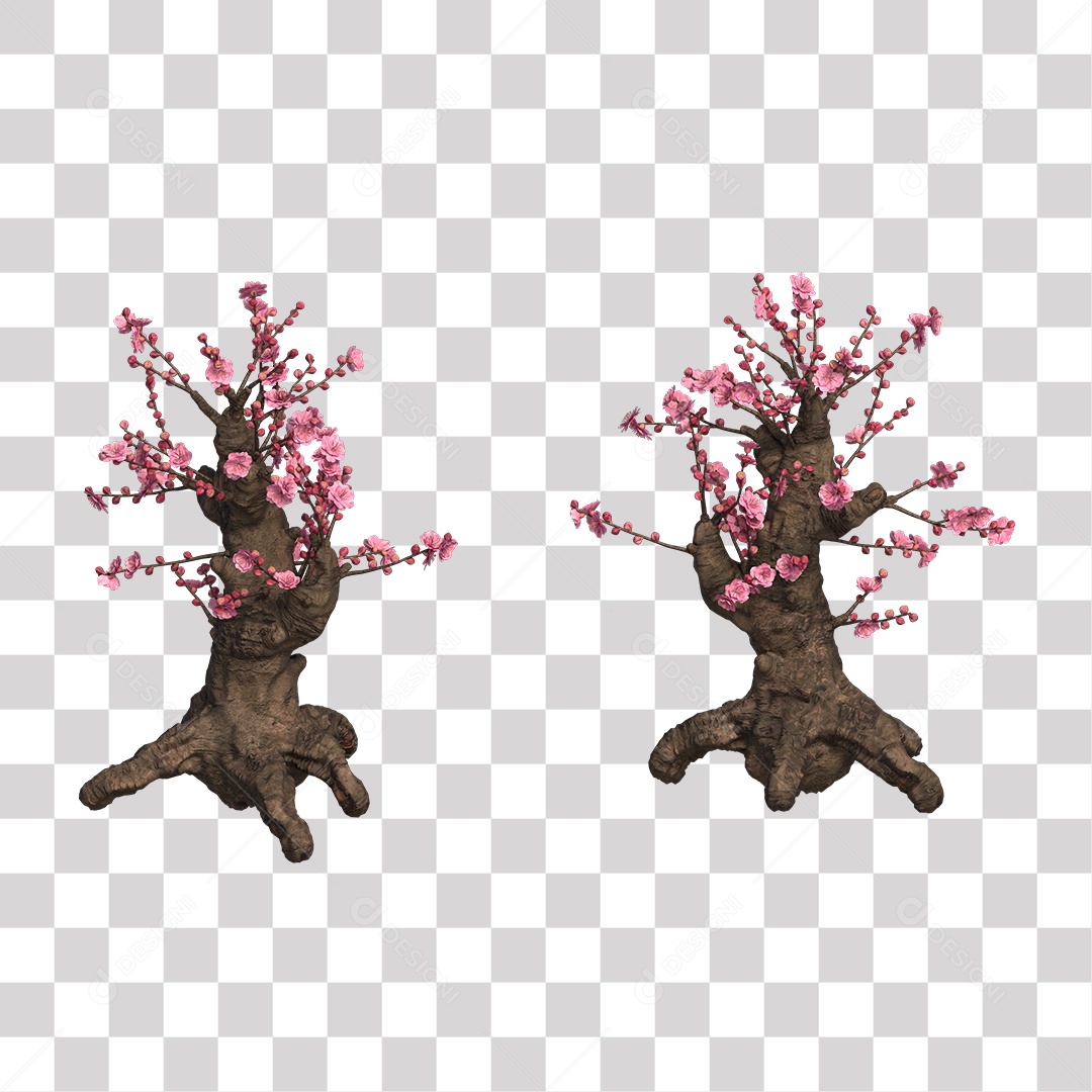 Árvore de Folha Rosa Coqueiro Planta PNG Transparente