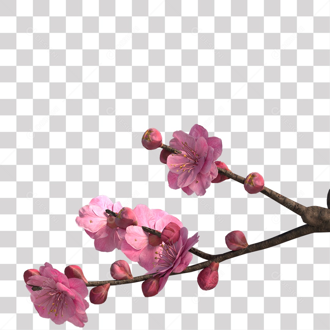 galho de flores rosa PNG Transparente