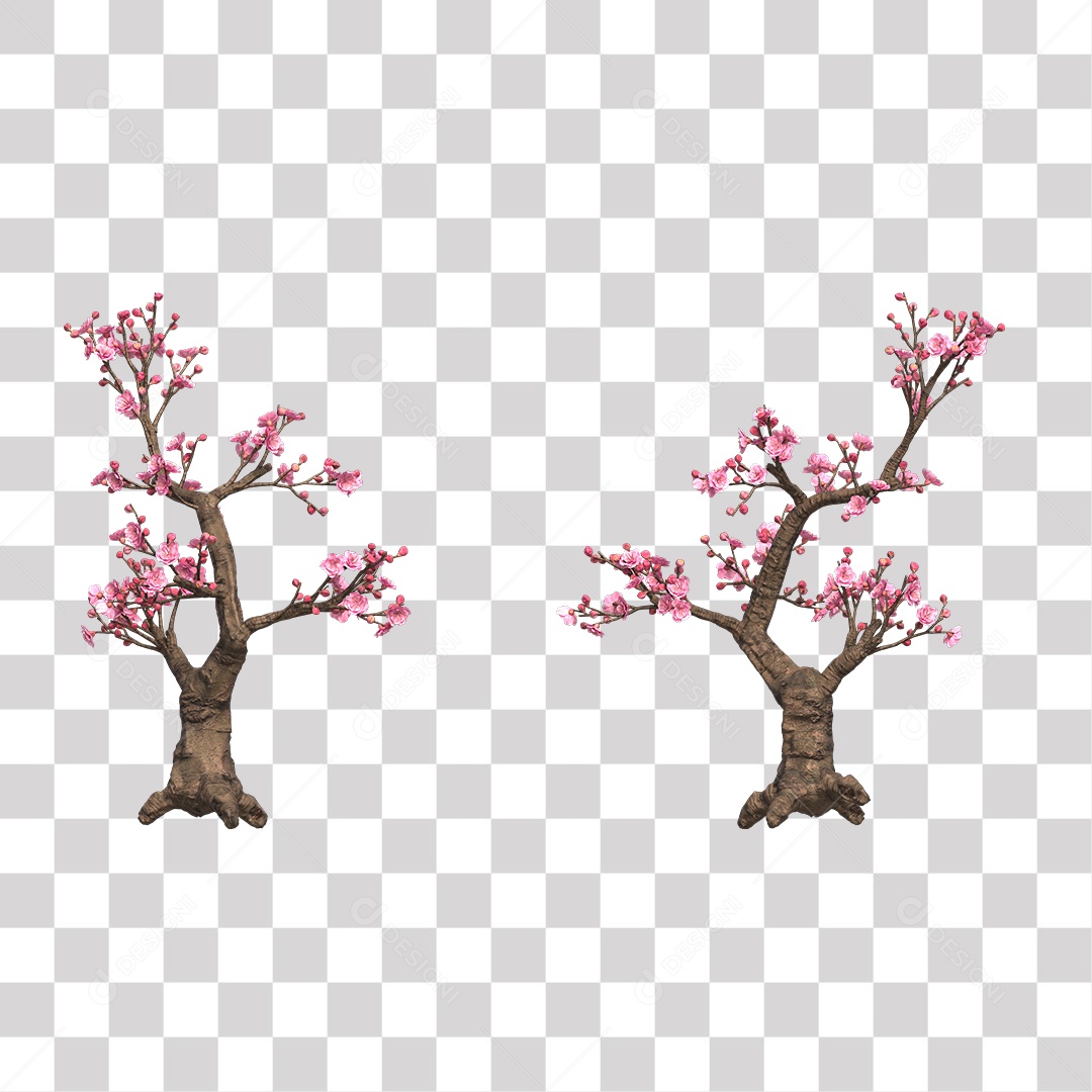 Árvore de Rosa Coqueiro Planta PNG Transparente