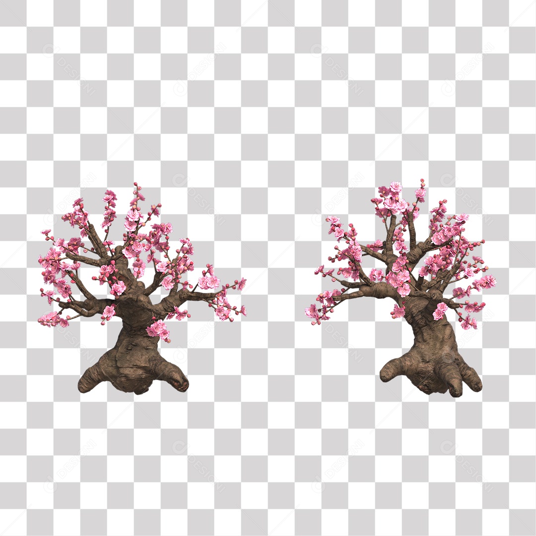 Árvore de Folha Rosa Coqueiro Planta PNG Transparente