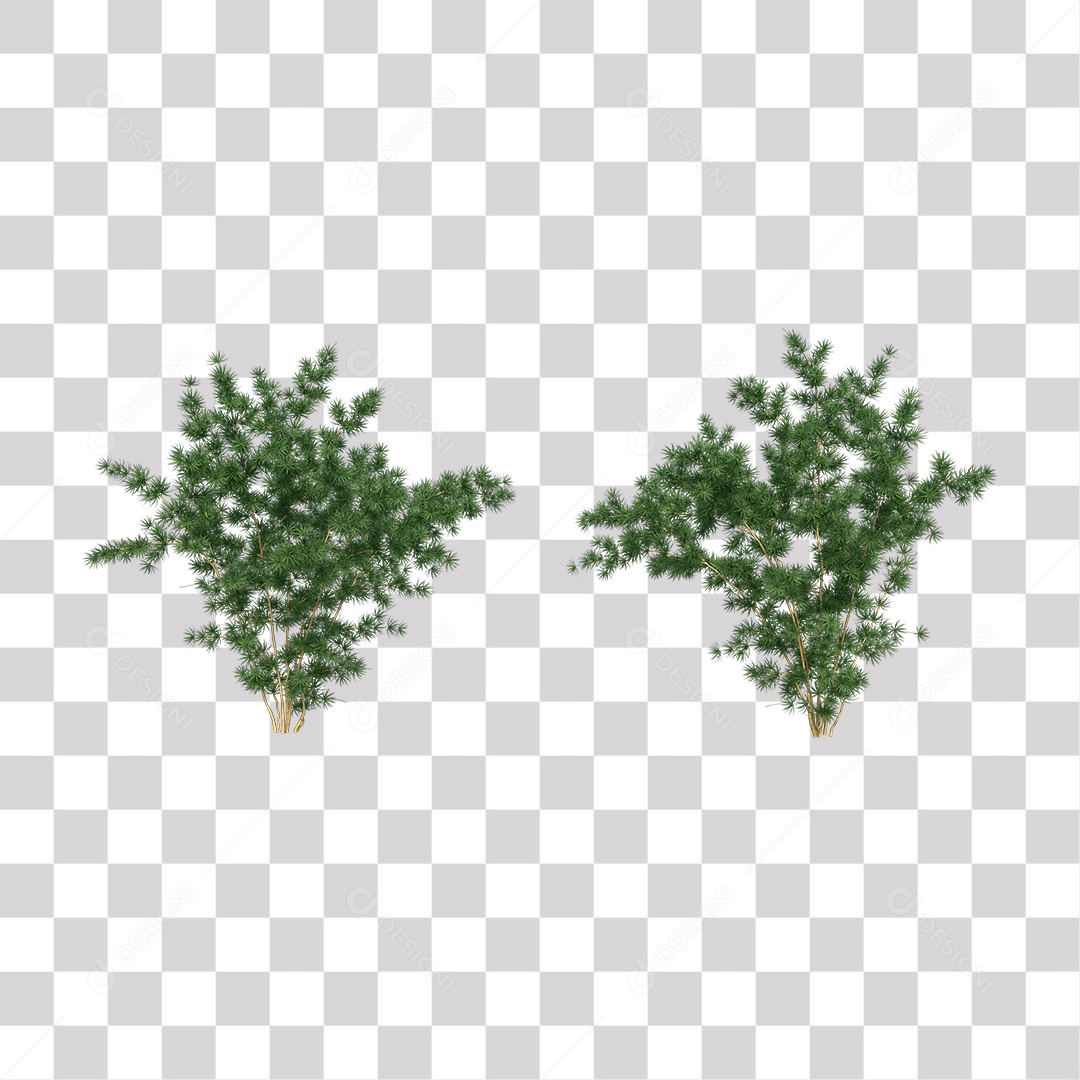 Árvore de Folha Verde Coqueiro Planta PNG Transparente