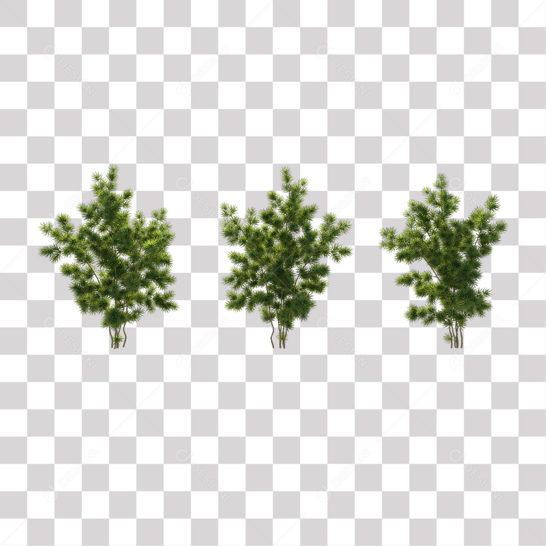 Árvore de Folha Verde Coqueiro Planta PNG Transparente