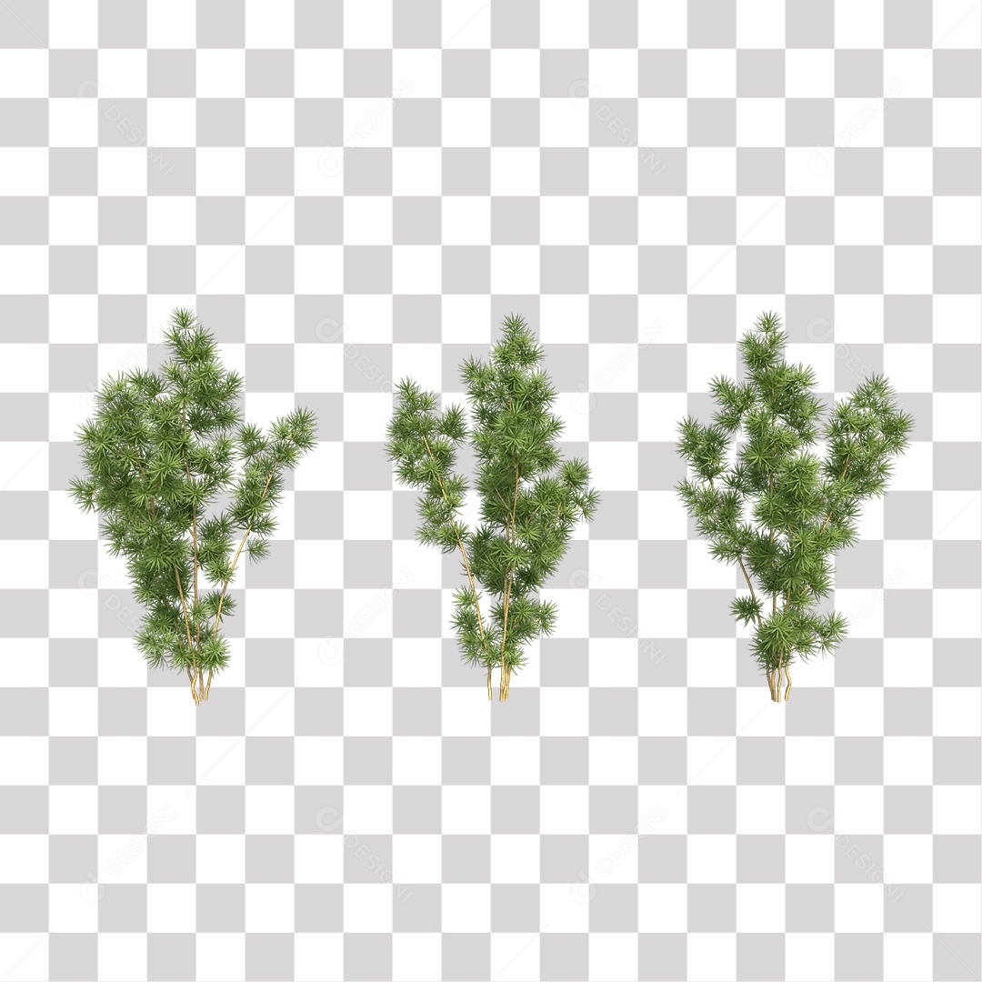 Árvore de Folha Verde Coqueiro Planta PNG Transparente