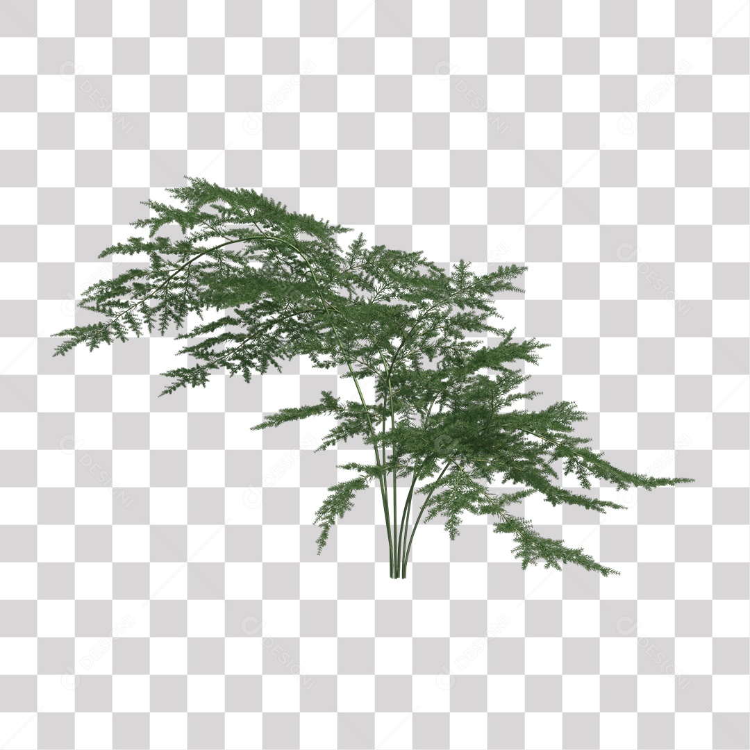 Árvore de Folha Verde Coqueiro Planta PNG Transparente