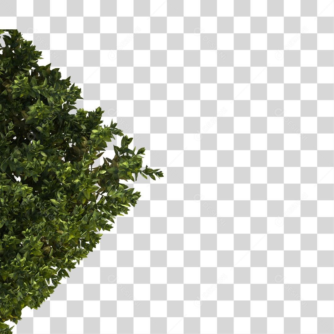 Árvore de Folha Verde Planta Cenário PNG Transparente