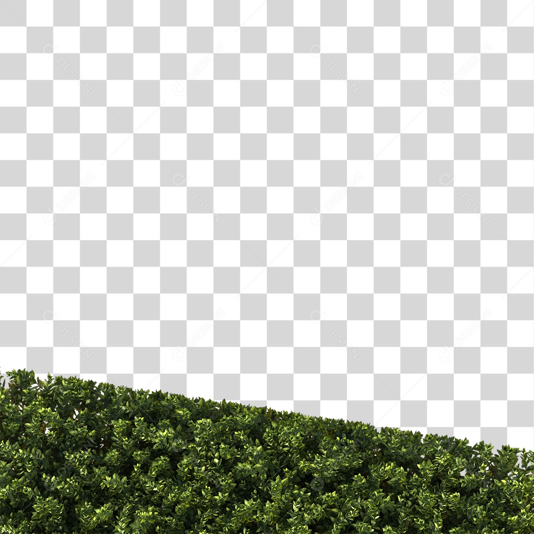 Árvore de Folha Verde Planta Cenário PNG Transparente