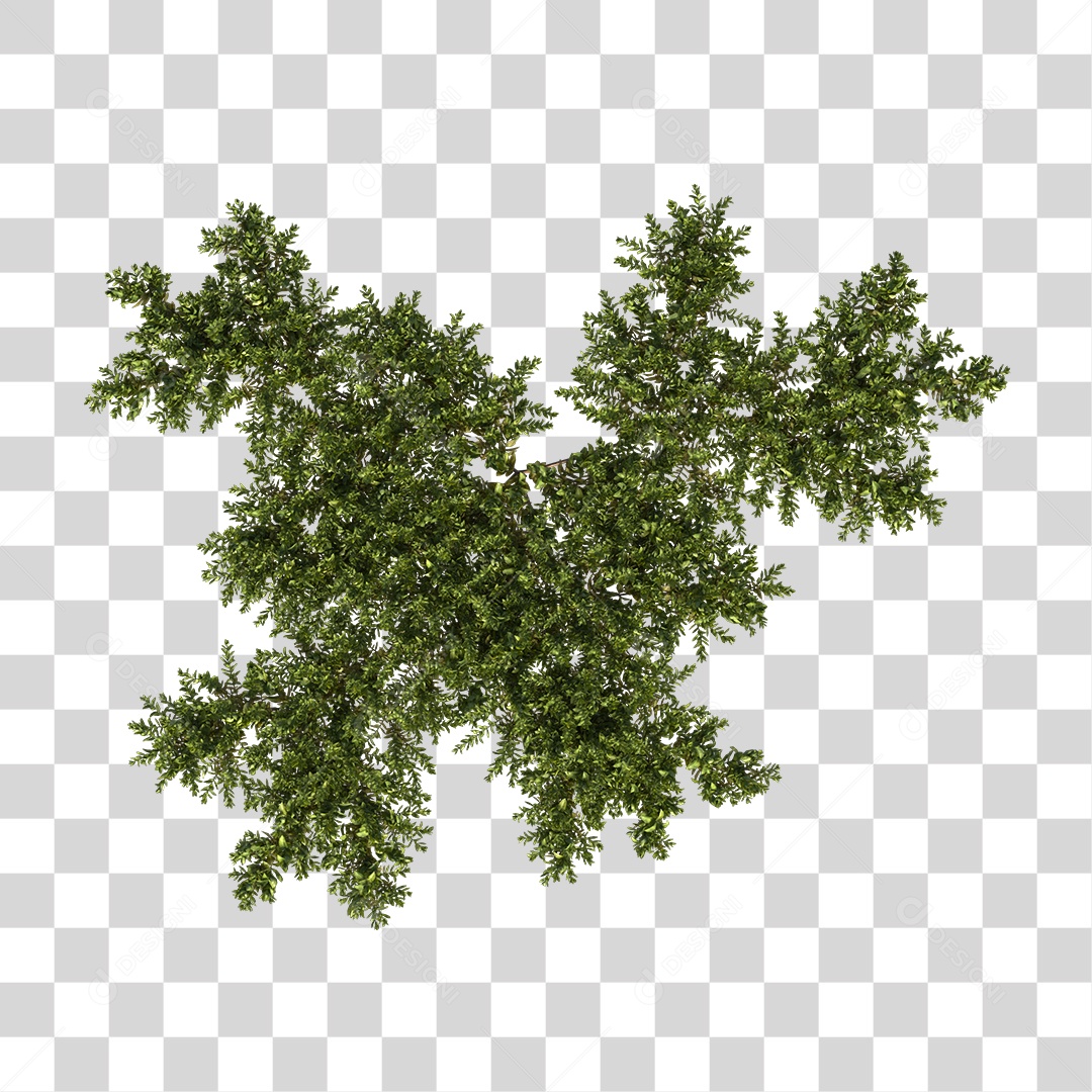 Árvore de Folha Verde Planta Cenário PNG Transparente