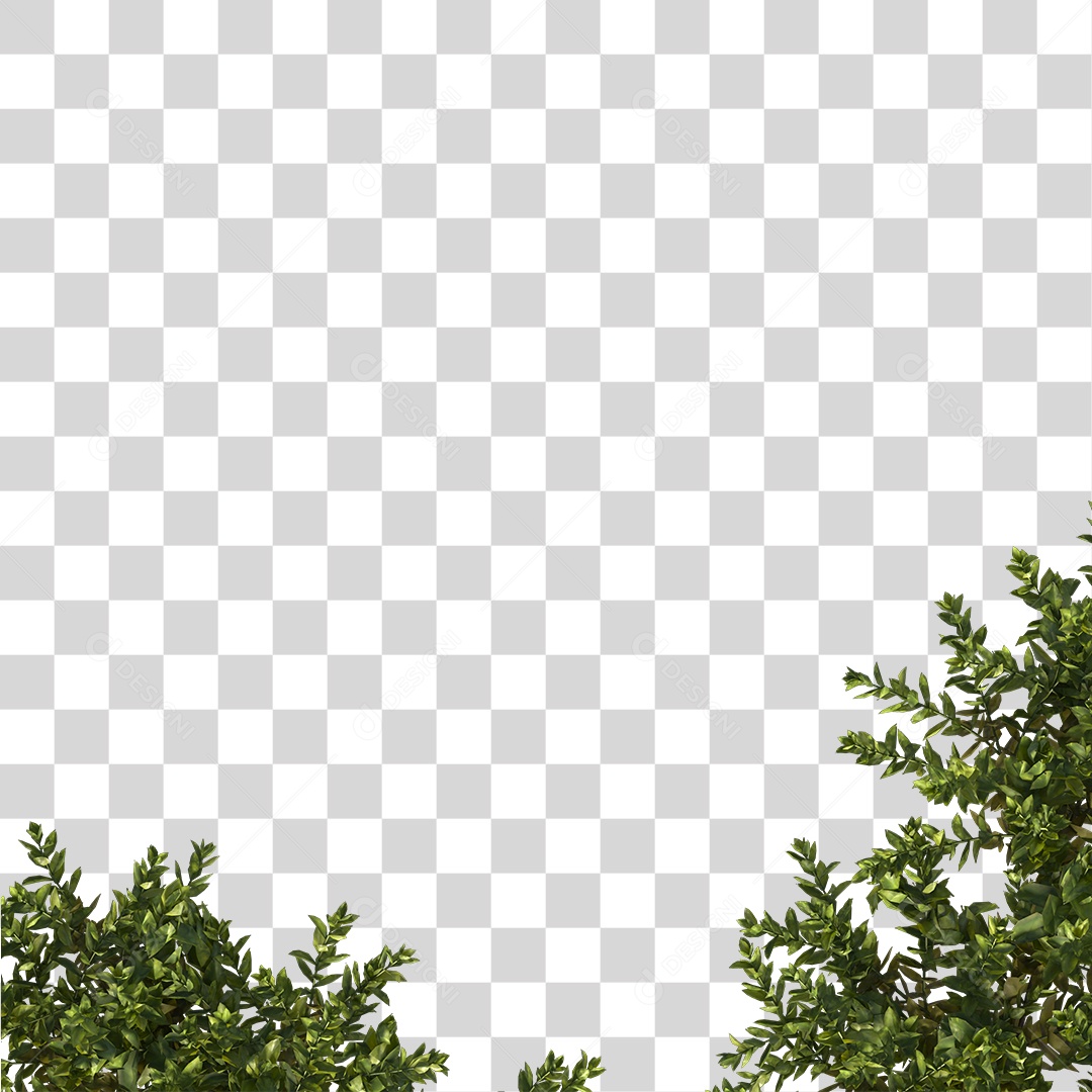 Árvore de Folha Verde Planta Cenário PNG Transparente