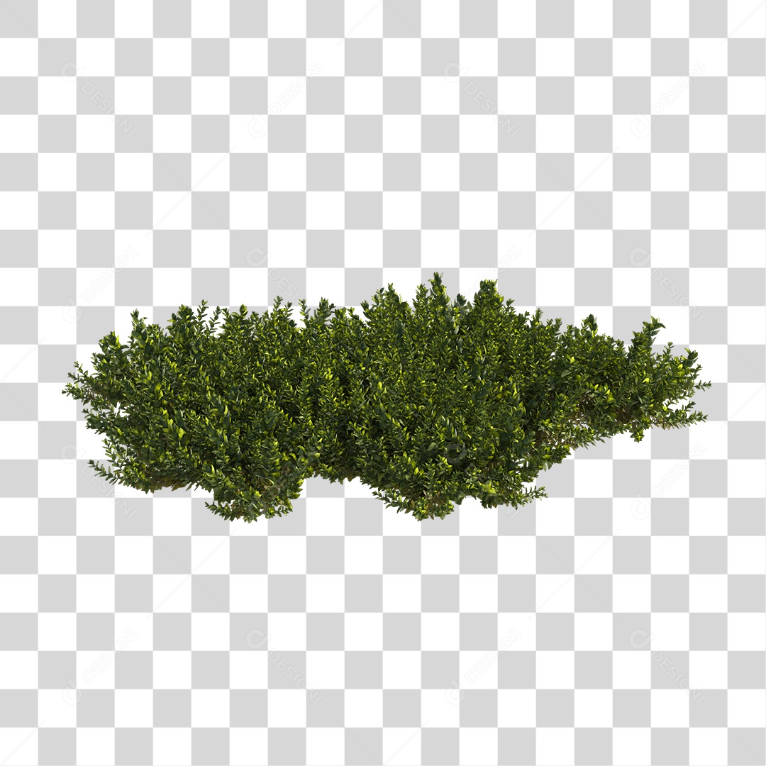 Árvore de Folha Verde Planta Cenário PNG Transparente