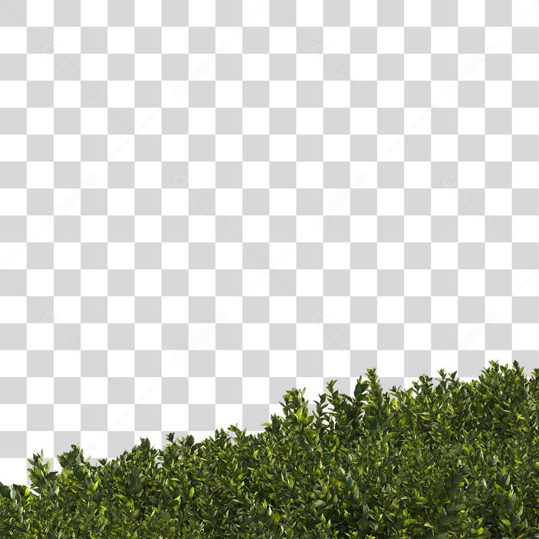 Árvore de Folha Verde Planta Cenário PNG Transparente