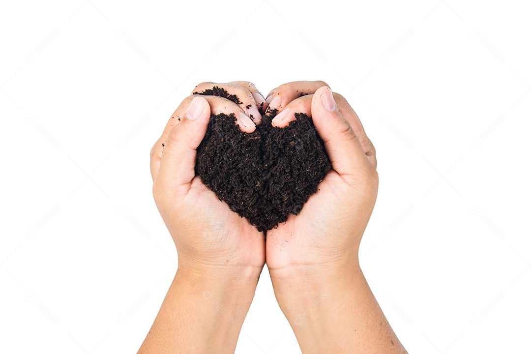 solo nas mãos sujas com barro preto trigo nas mãos isolado