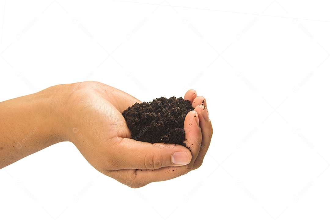 solo nas mãos sujas com barro preto trigo nas mãos isolado