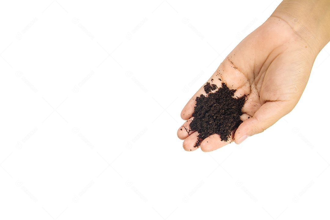 Mãos sujas com barro preto trigo nas mãos isolar o fundo Traçado de recorte