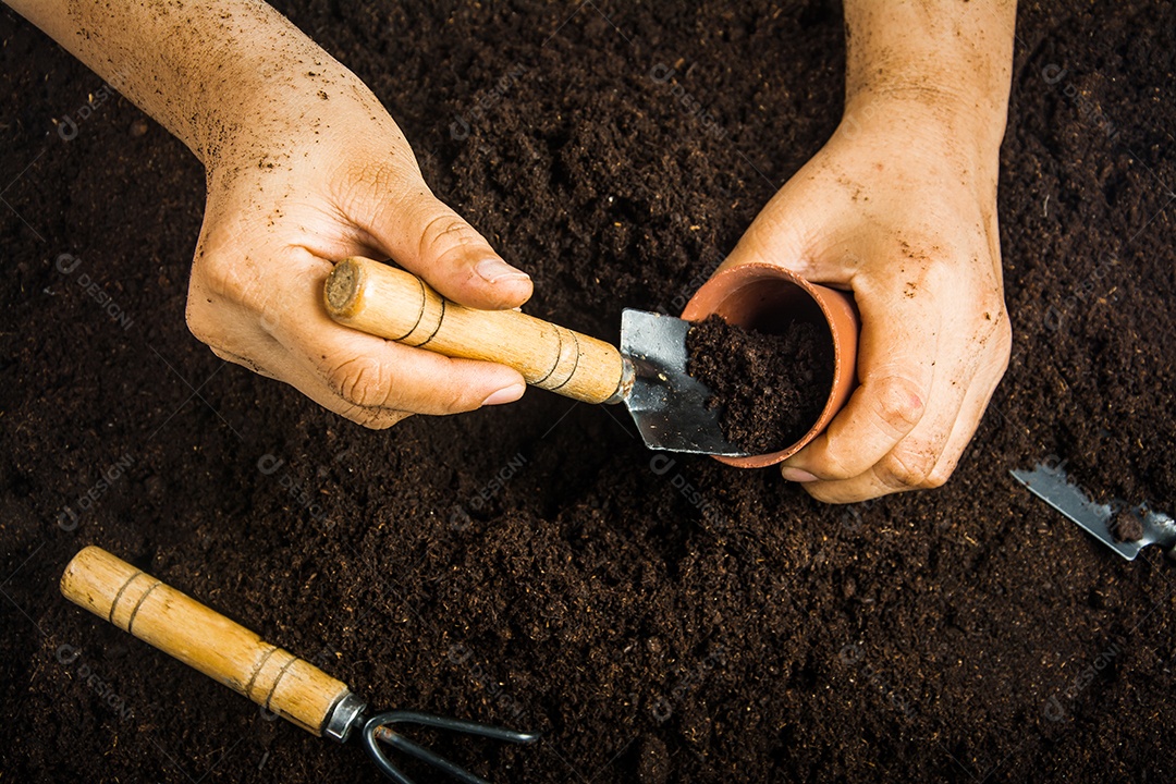 Equipamento de jardinagem e mão com solo