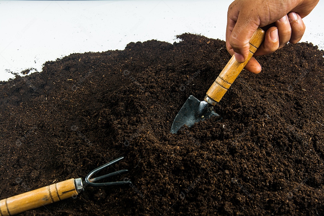 Pequena árvore com mãos e solo, fundo de solo