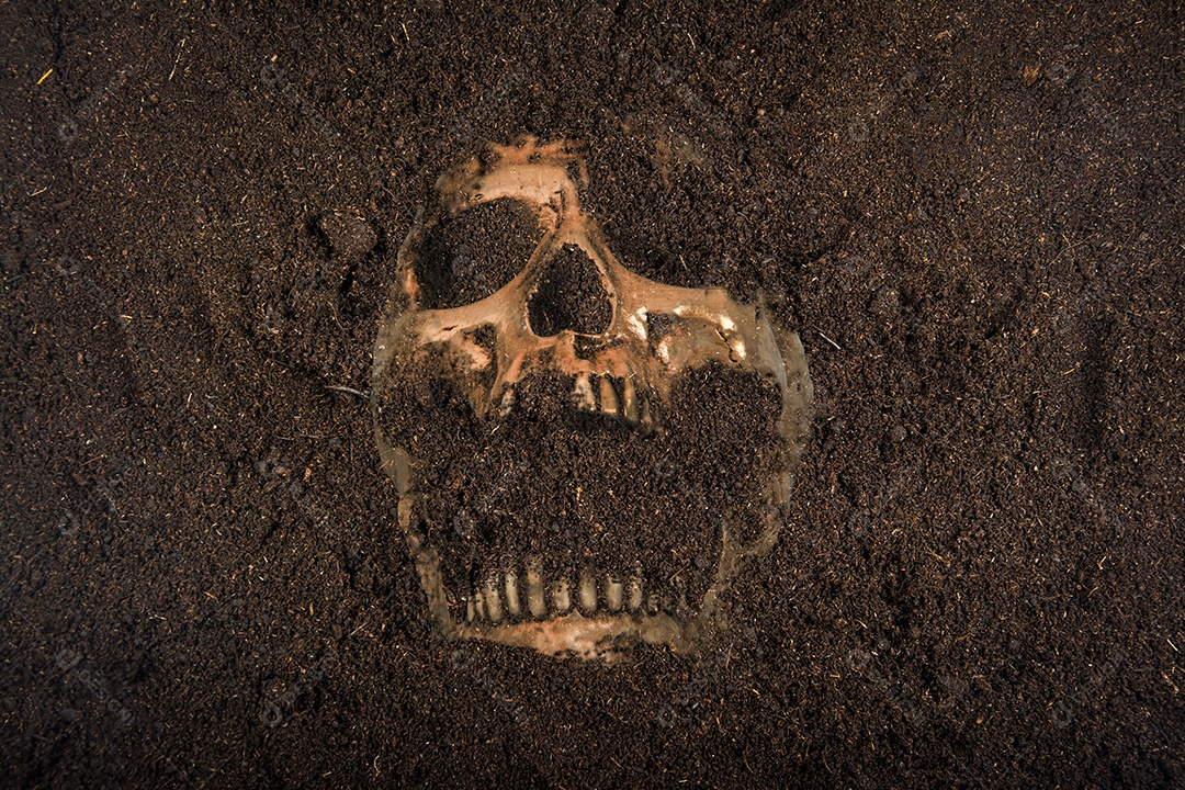 Ao lado do crânio humano enterrado no solo conceito de morte e Halloween
