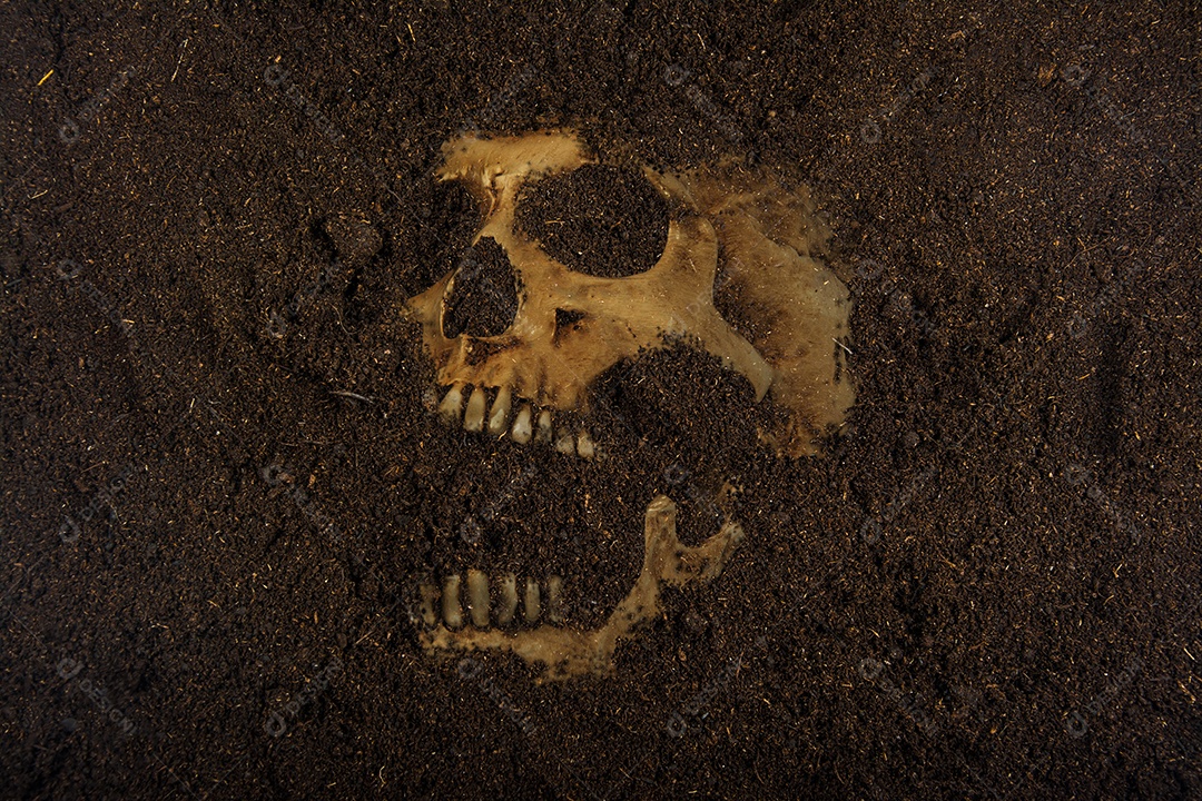 Ao lado do crânio humano enterrado no solo conceito de morte e Halloween