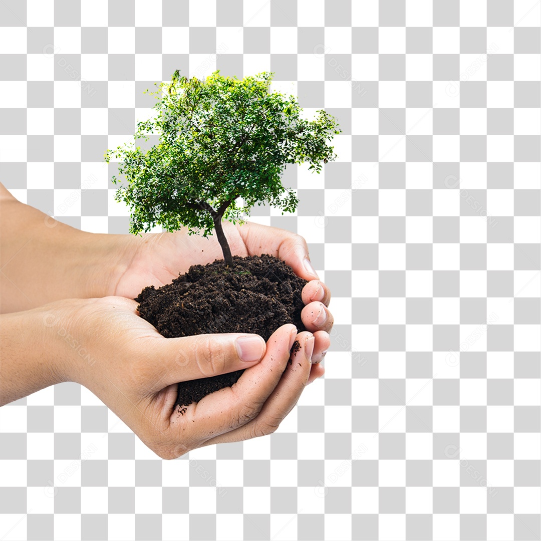 Mãos Segurando um Monte de Terra com Planta PNG Transparente