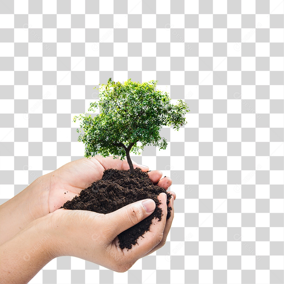 Mão Segurando um Monte de Terra com Planta PNG Transparente