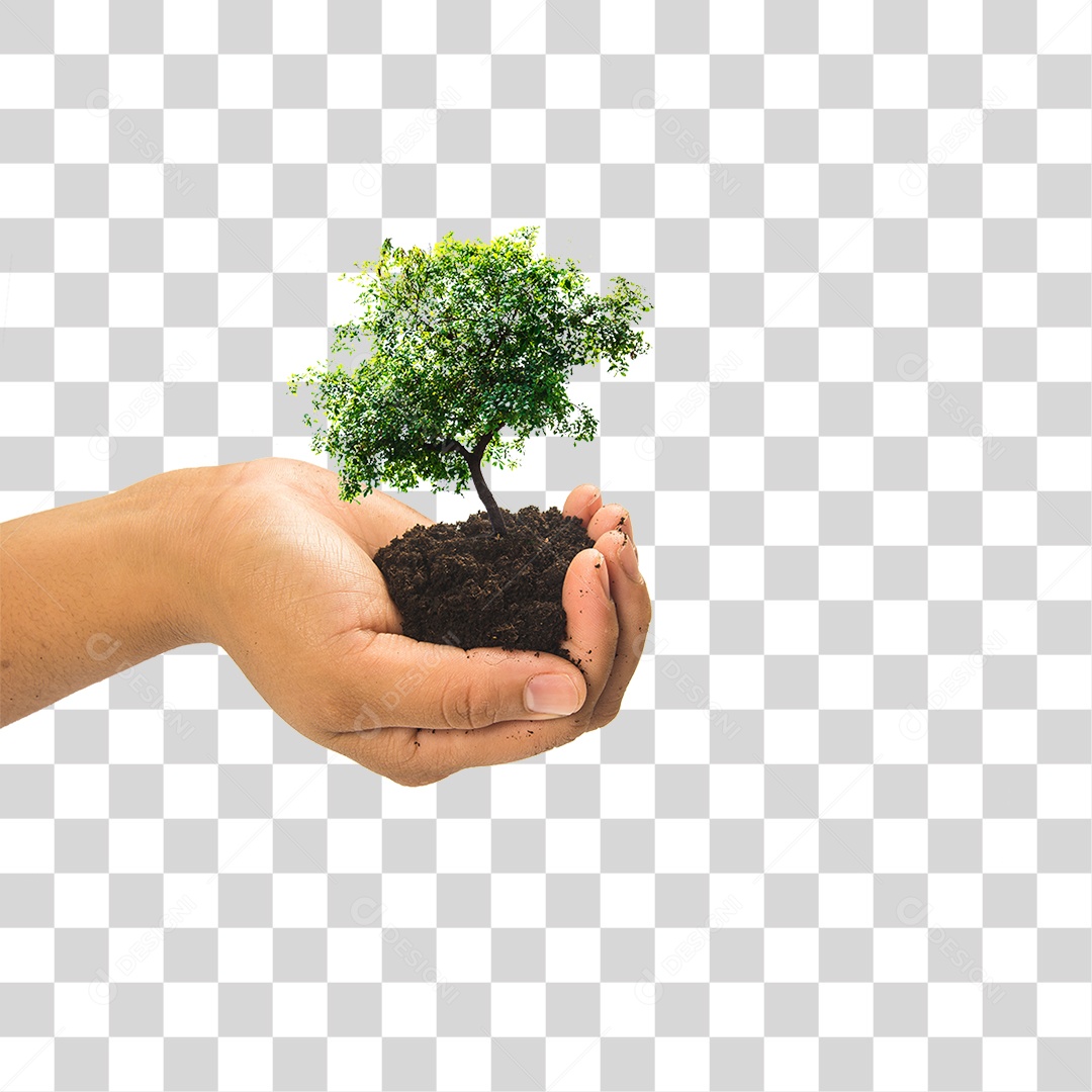 Mão Segurando um Monte de Terra com Planta PNG Transparente