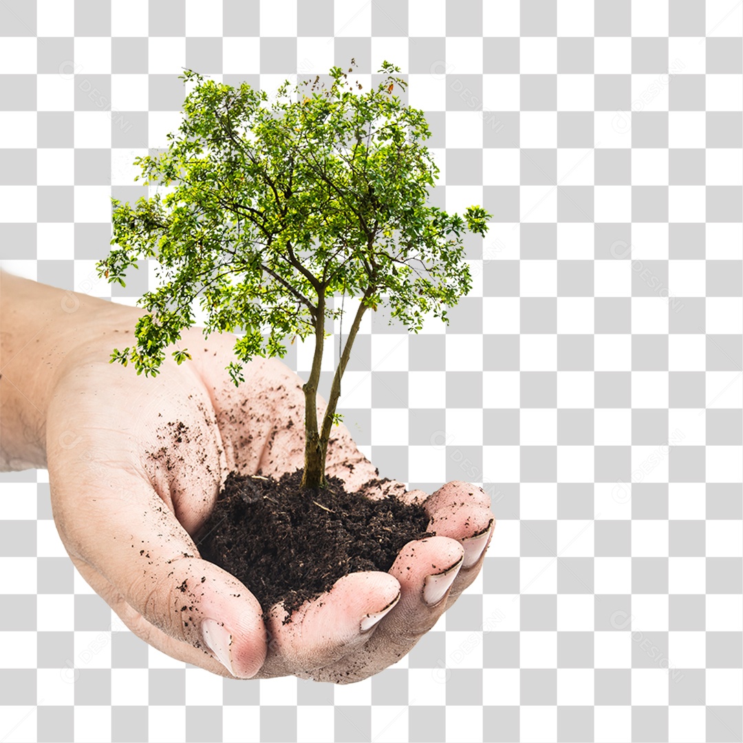 Mão Segurando um Monte de Terra com Planta PNG Transparente