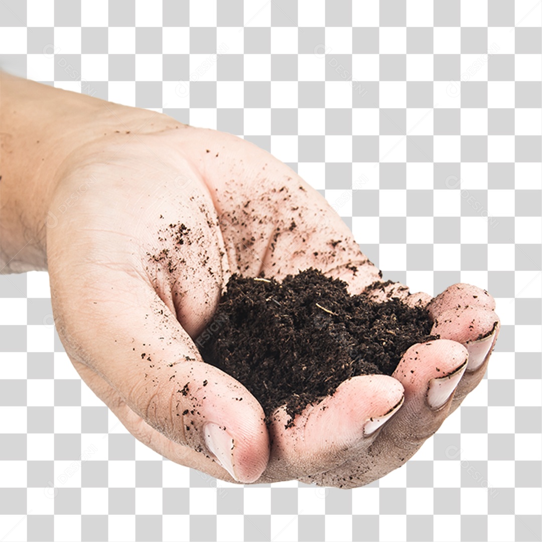 Mão Segurando um Monte de Terra PNG Transparente