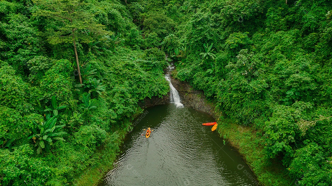 Linda Paisagem floresta de uma cachoeira com aguas calmas