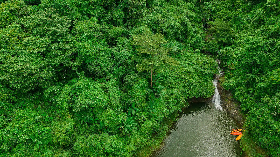 Linda Paisagem floresta de uma cachoeira com aguas calmas