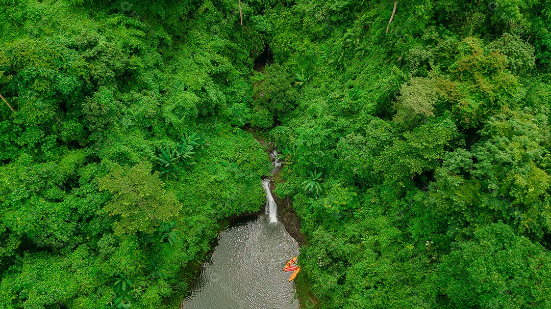 Beautiful forest landscape of a waterfall with calm waters