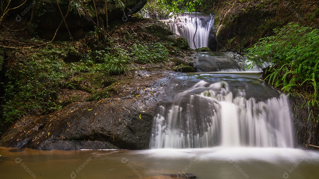 Linda Paisagem floresta de uma cachoeira com aguas calmas