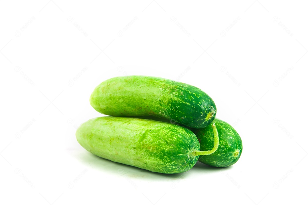pepino isolado no fundo branco.