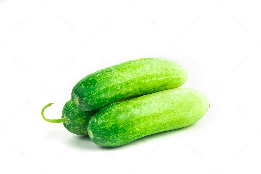 pepino isolado no fundo branco.