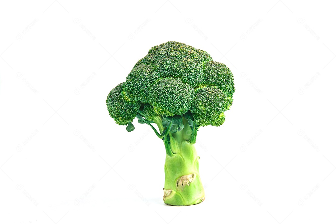 brócolis isolado no fundo branco.