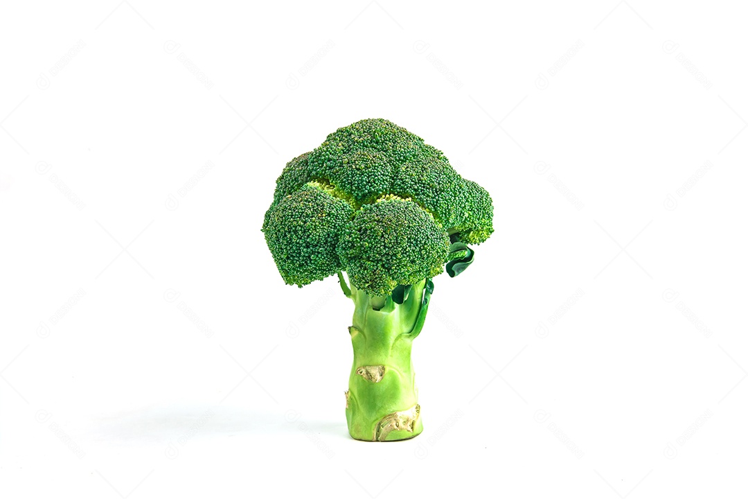 brócolis isolado no fundo branco.