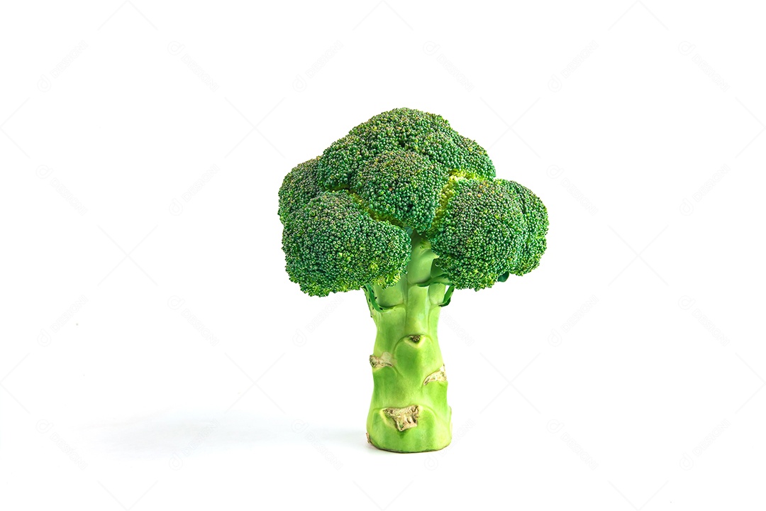 brócolis isolado no fundo branco.