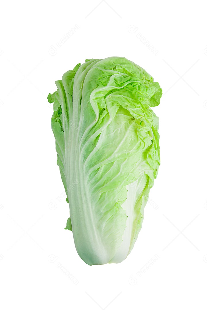 repolho isolado no fundo branco.