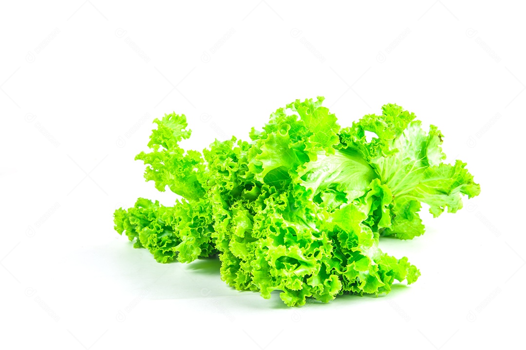 alface isolada no fundo branco.