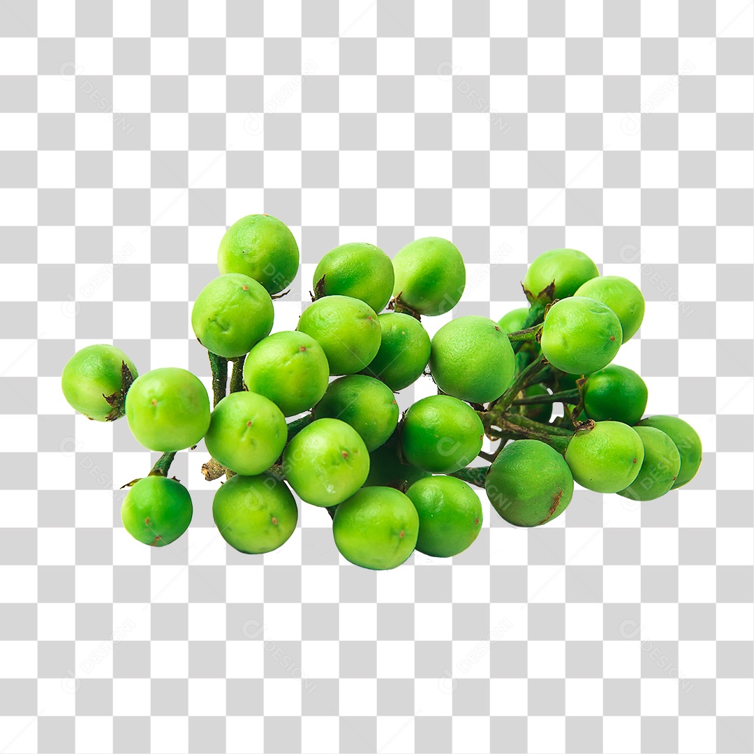 Hortaliças Jurubeba PNG Transparente