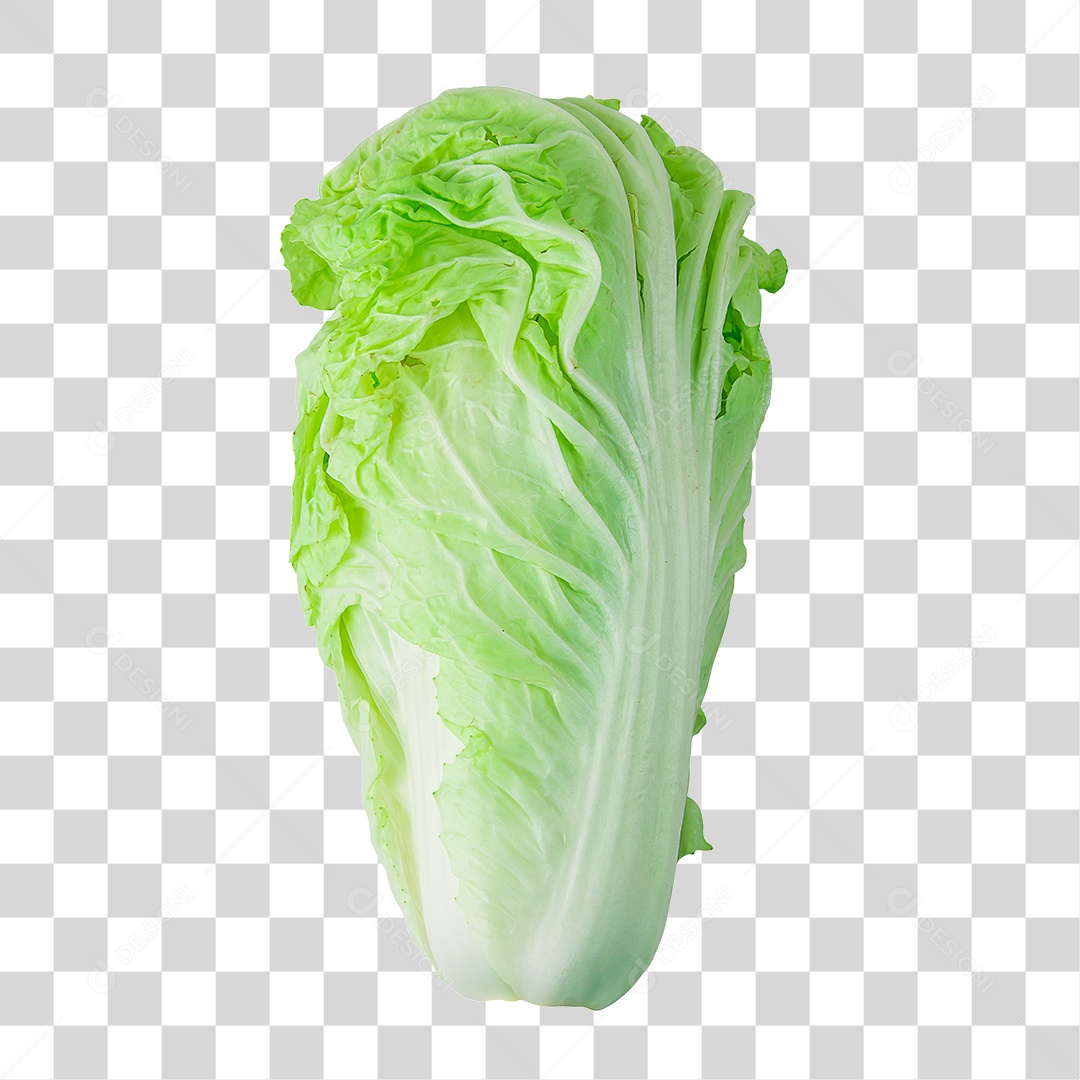 Hortaliças Alface Romana PNG Transparente