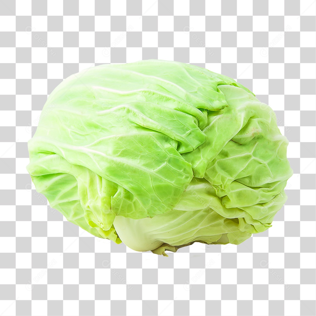 Hortaliças Repolho Branco PNG Transparente