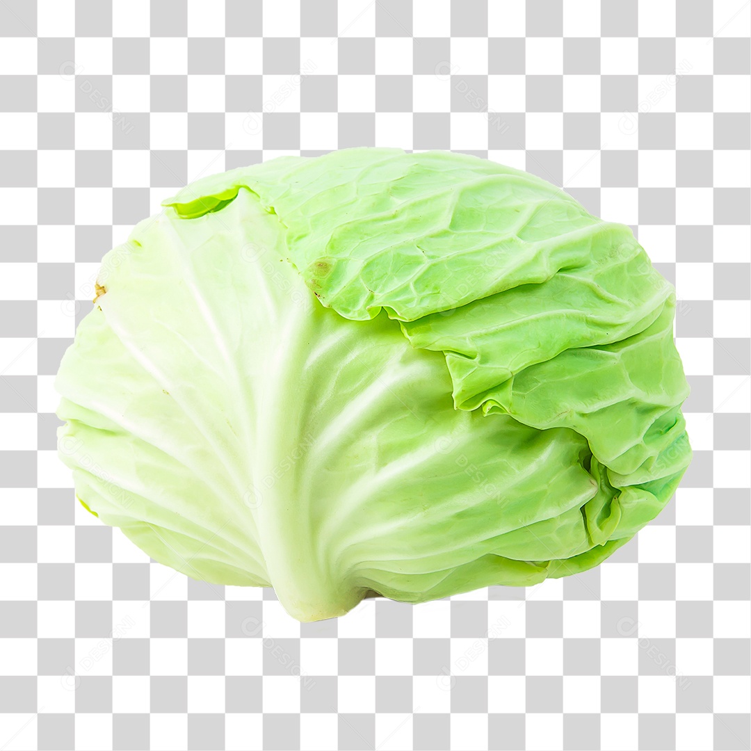 Hortaliças Repolho Branco PNG Transparente