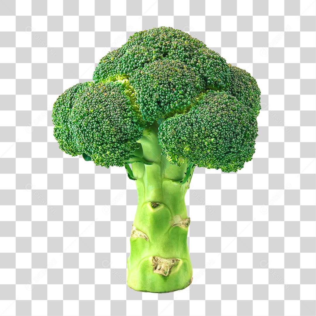 Hortaliças Brócolis PNG Transparente