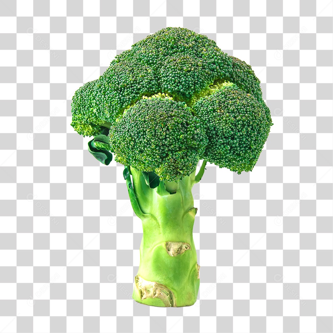 Hortaliças Brócolis PNG Transparente
