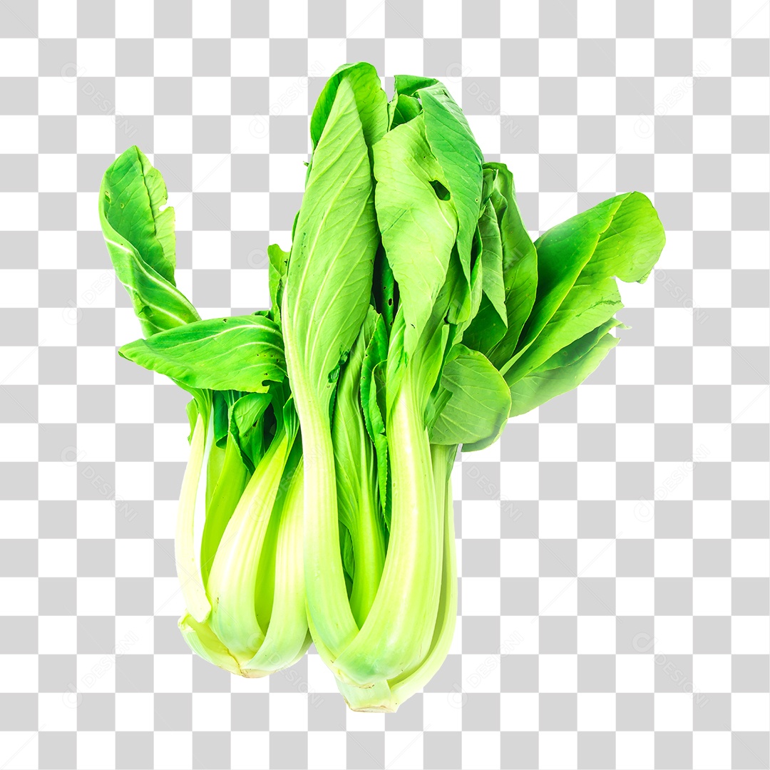 Hortaliças Couve China PNG Transparente